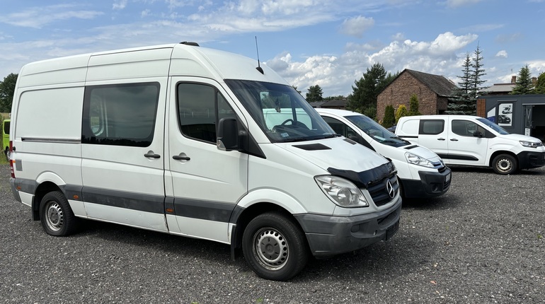 Mercedes-Benz SPRINTER 313 FV23%